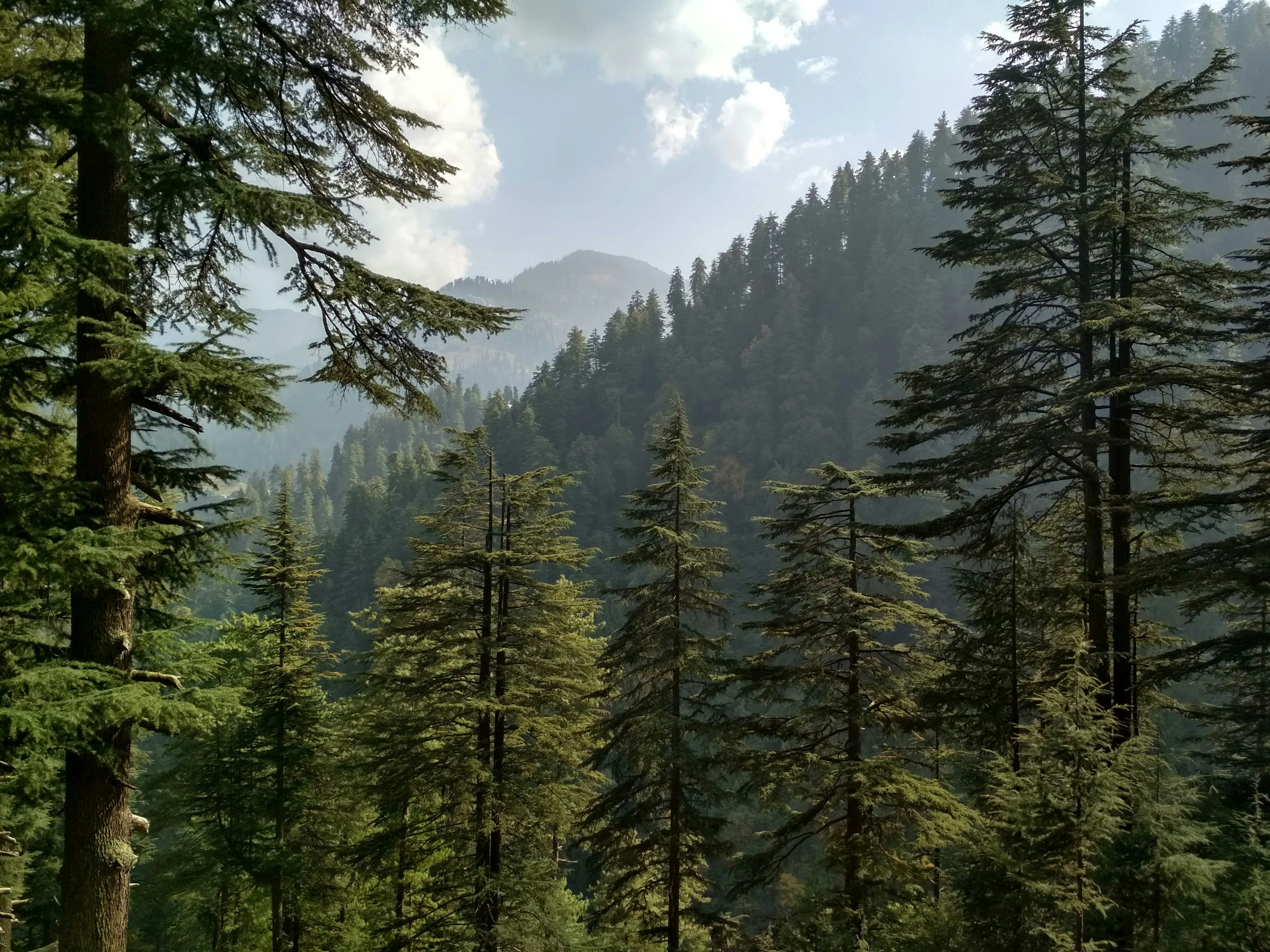 Jibhi-Tirthan